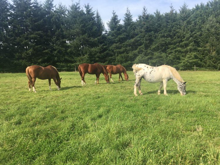 4DD4E5D3-4A9B-4316-B839-74333C06E7DD