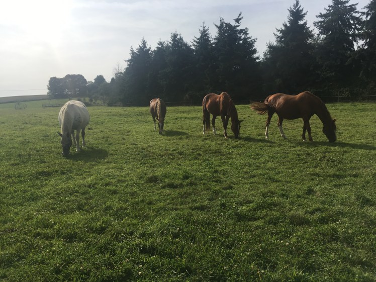 888D7A36-9A44-4C86-A6DD-13762527FEF5