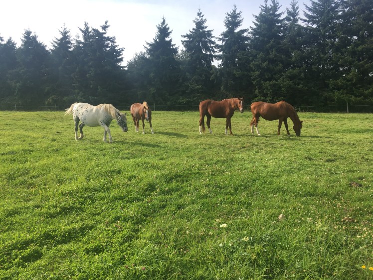 D08D85AF-291C-4E30-98E2-43A12D72BEDD