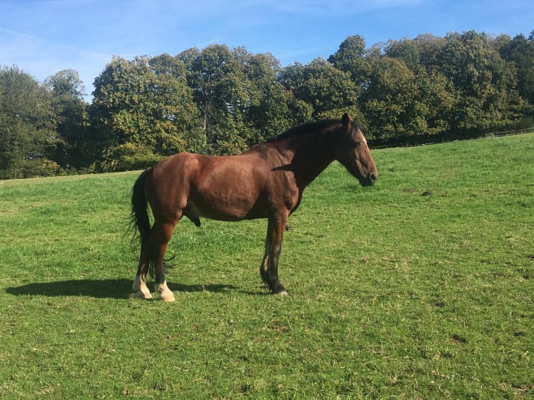 00F100E7-74B7-47C4-B945-B5DC43D10495