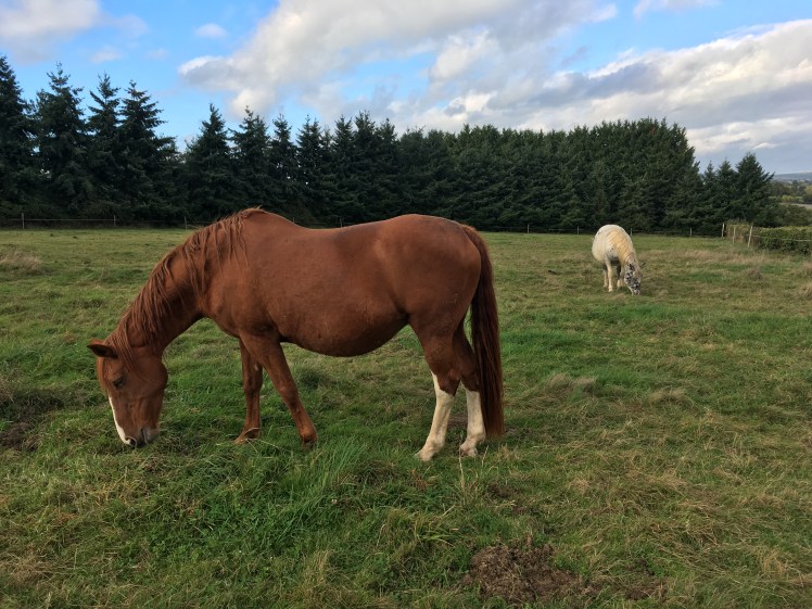 287226FE-D464-4B03-BCE1-D82473C483CC