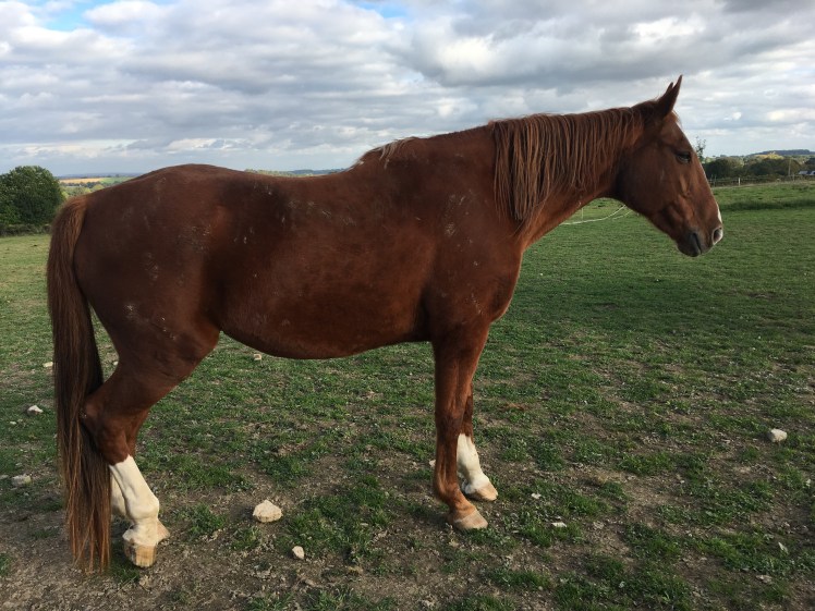 2D6E1212-7C6E-4E95-A901-5703A80F5957