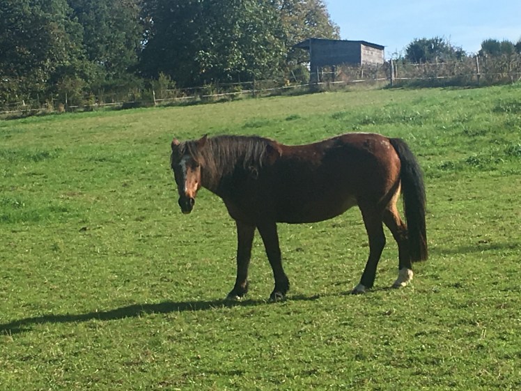 52711A19-CF57-4442-82AB-41AEC352B74C