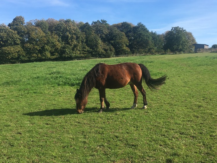 588AD26F-F097-40E7-ADB8-C6DA1907F51A