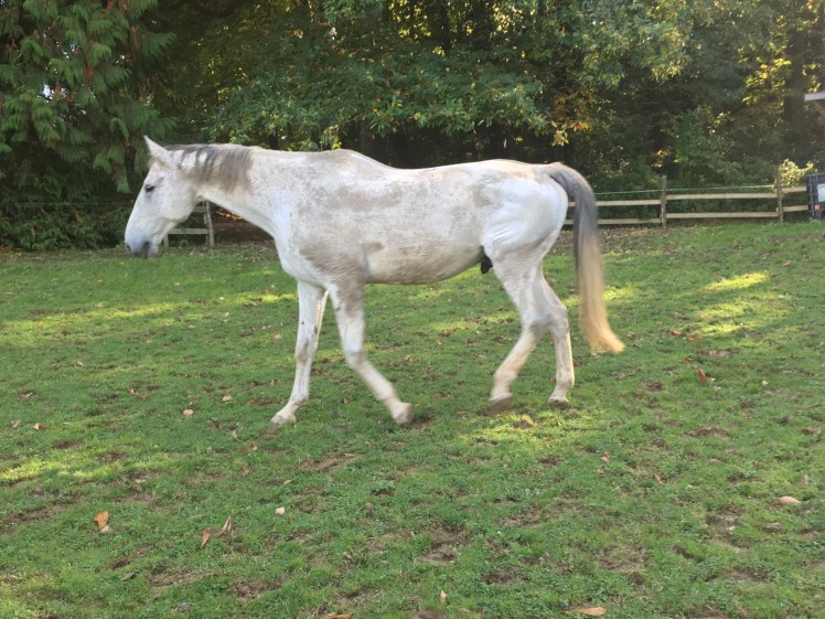 74B029CD-F489-444B-8CCA-6F181D77B895