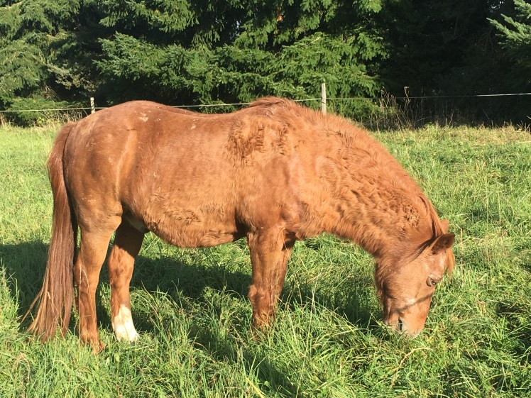 AAD65259-E883-4C1C-829E-DF06030DCC90