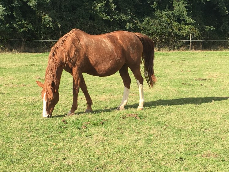 AB64BAA2-28DF-4963-B031-BC35B16F56FE