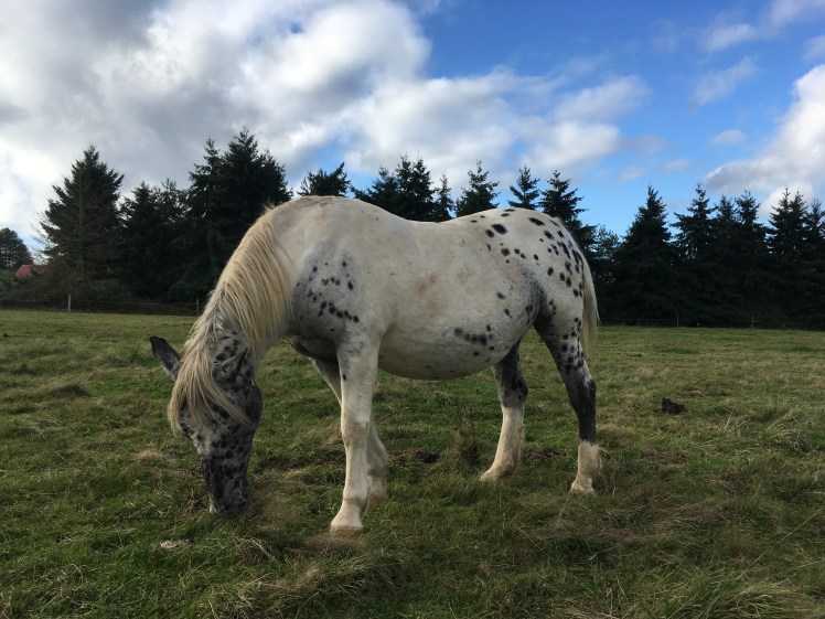 CEDD77EB-B54B-4E8A-AB9C-2227875D7164