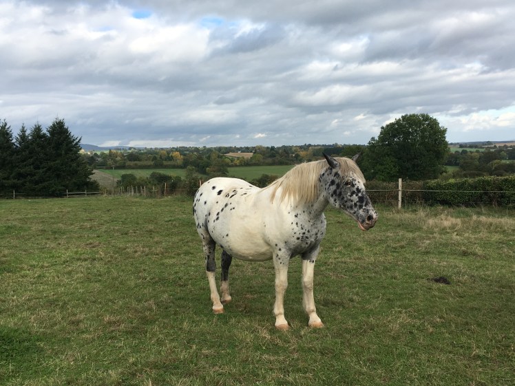 DEBC1E3C-F2DD-4CBD-BCBE-73400E479CDE