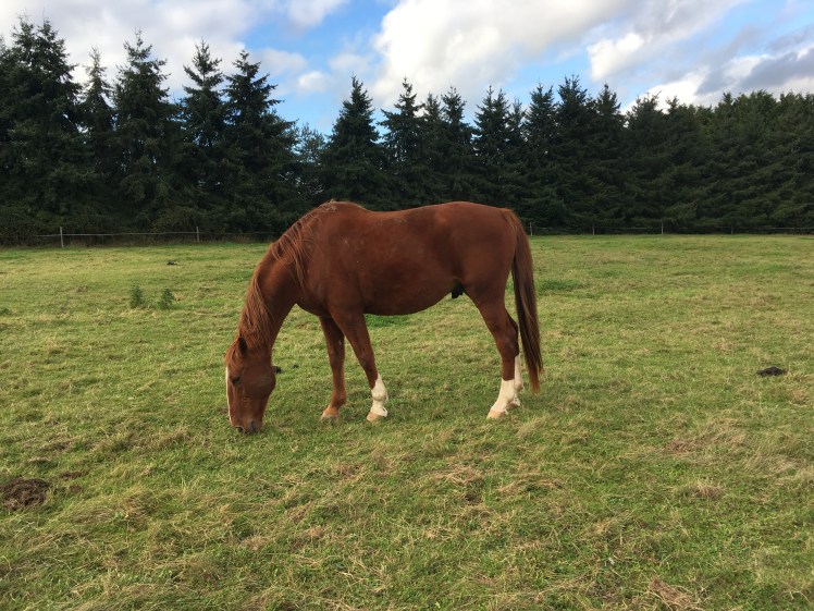 EFE19094-F1B3-4F0A-A72B-7080C75838DD