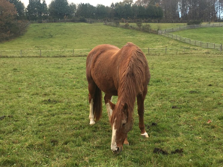 099F8B2B-1638-4BF5-B2B0-6462AF646791