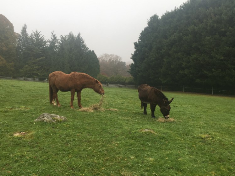 0BD7E980-03CB-4C62-AAEC-0FB153E4A5D8