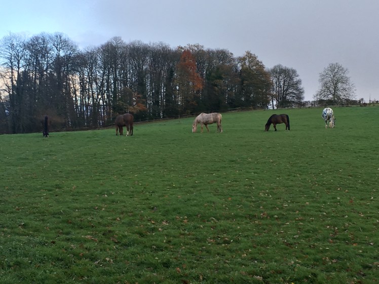 0BFF0502-CE44-45EB-8420-D2DC00CEB508