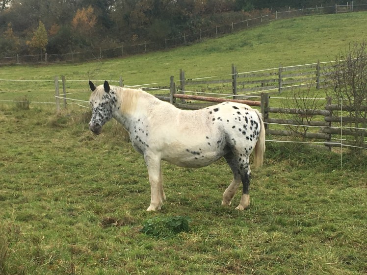 1720D5D4-30A8-4F85-ACDC-28791ED495AC