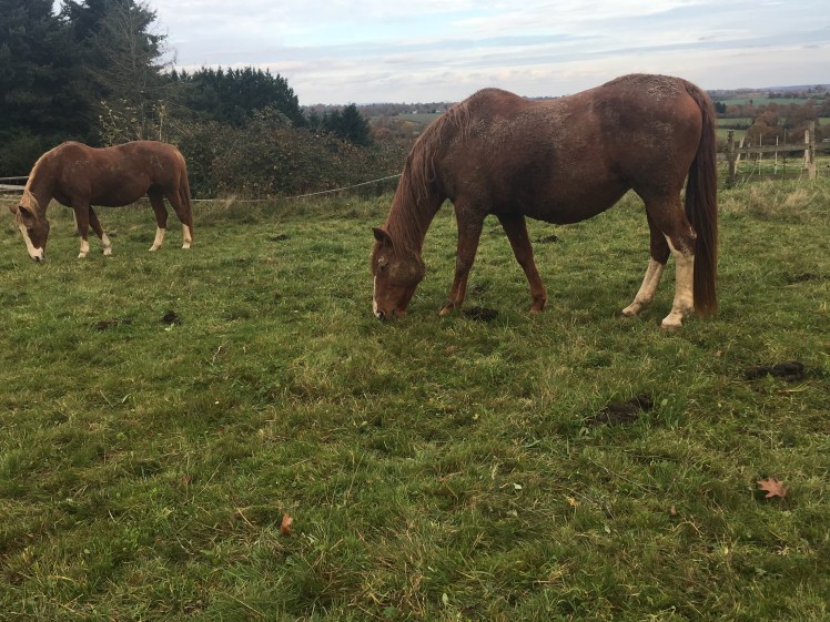 3BE350D4-3B2F-4C49-A478-FF27AA41BA41