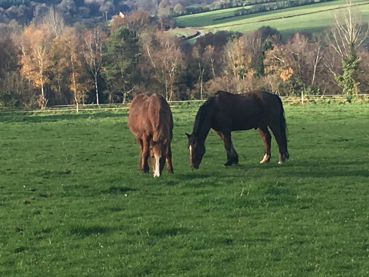 48080759-6BBA-47E8-872B-CE0CFF6FB2B4