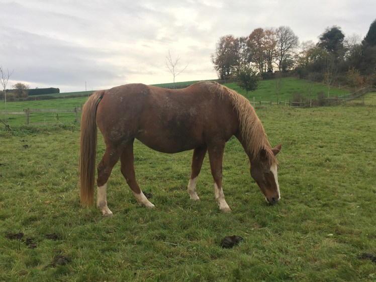 4E535762-1120-47F2-8E7E-39F0800ECDF2