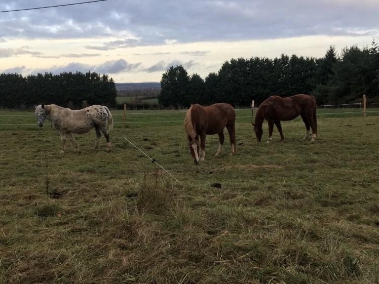 5389C489-452D-4D30-AD4D-182725FBE913