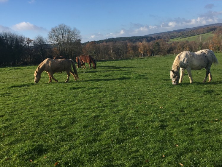 5B392DFB-311B-4764-96E7-27FBB5C581C2