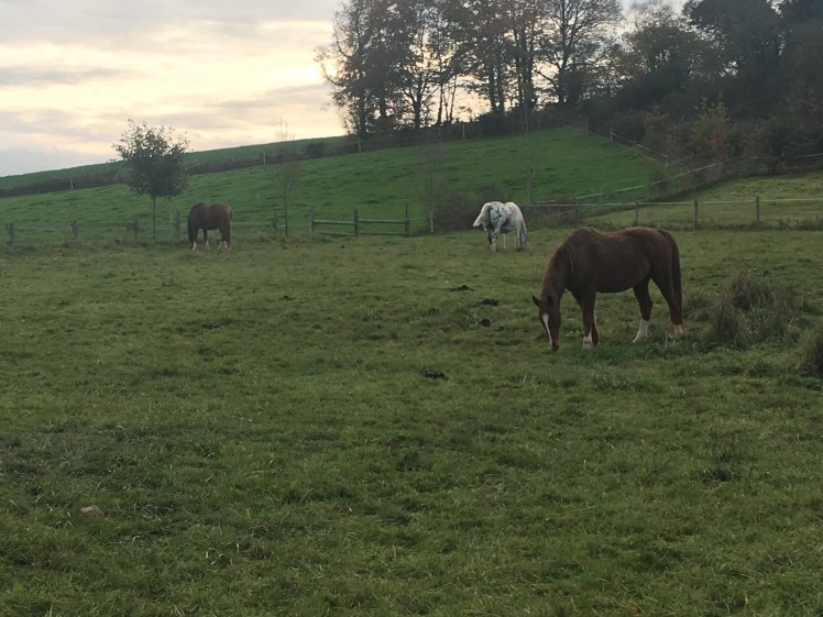 A6B8617B-65D9-4FA5-8301-31D4AB41D5FA