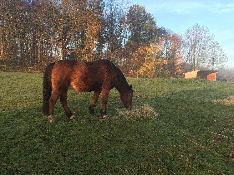 AF08A317-4C0F-4751-A380-10674A03C0D9