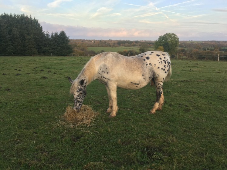 B0FDCA3B-AA55-4745-AFF3-6B73B879F49E