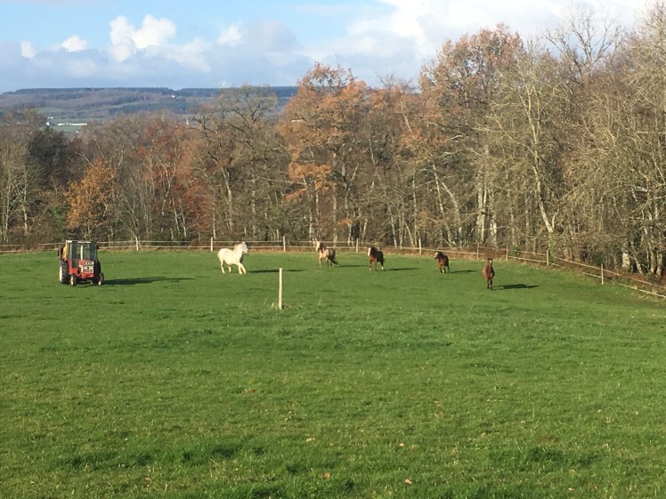 CD6460CA-AF30-4E29-A595-6209BB83C22E