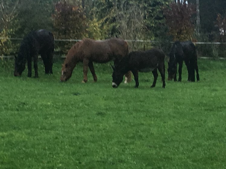 CD9452DF-BBDB-4A53-A956-47118FF639F6