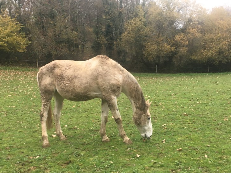 E3580492-1272-4FAA-B788-617107578FF8