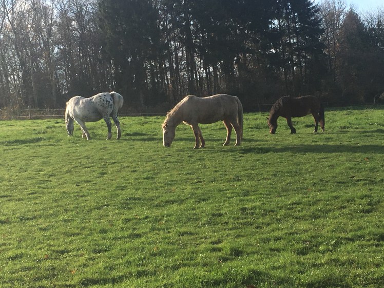 E9C7B8D8-B7F9-498B-B9EB-67C56F054AF1