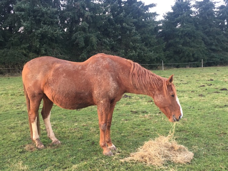 FC4AC344-B7AF-4038-B964-C4939646EDD0