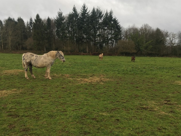 03879417-8395-4B4D-A0D7-238CF50A9393