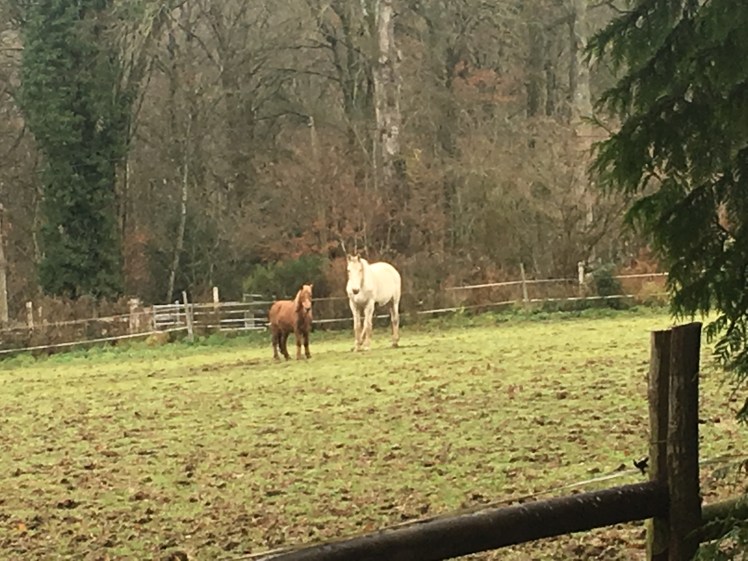 079B3404-E9A4-43AB-9F36-EF57529F89BE