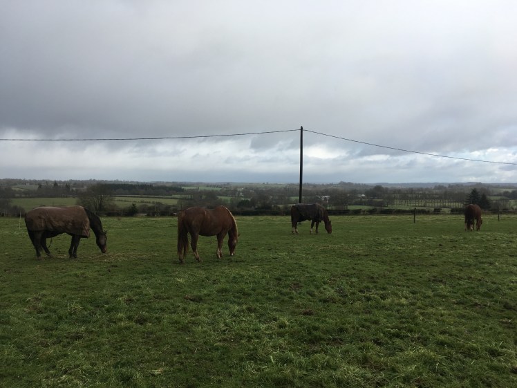 07EA3FFD-E505-43B5-A9C0-DF0D14D53BAE