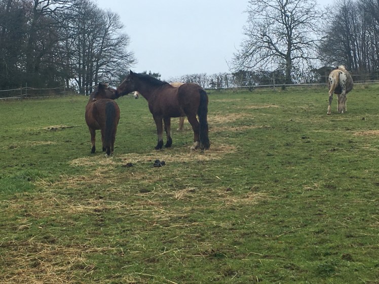 0F7B8FF2-B07E-4185-A381-8083DF25AF06