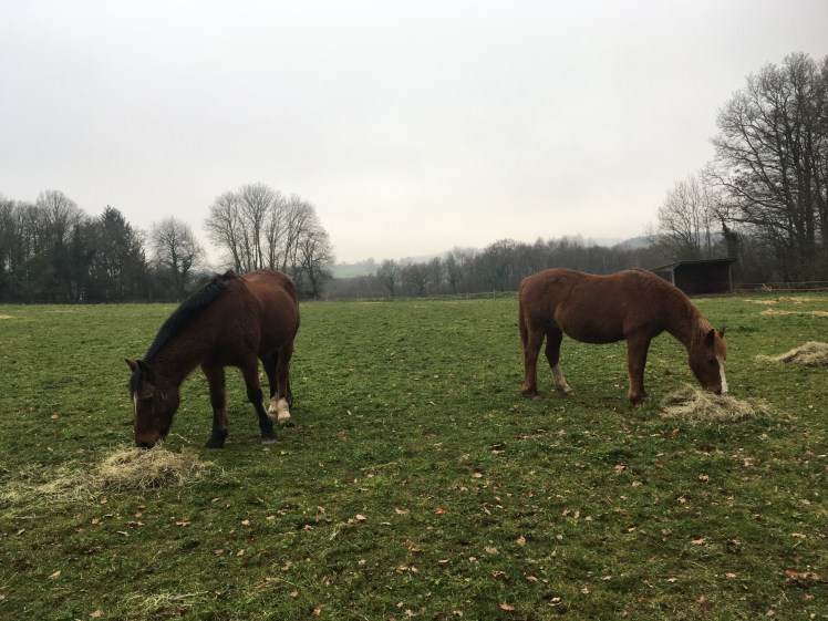 14545AF7-8C0D-49C6-B63B-4AC3D614DC7C