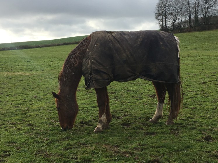 1F3B9051-DD19-449D-8C2E-1187CB928C04