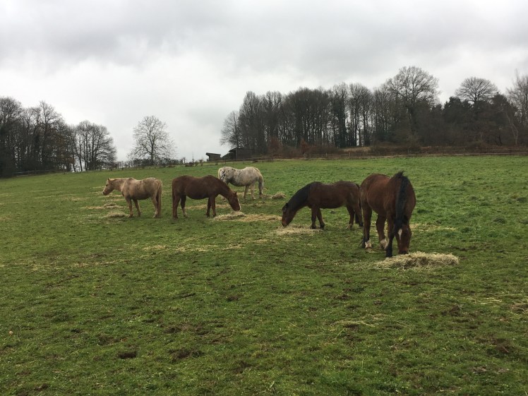 20FF9B77-EF7A-4305-808C-AAF24CC6BF19