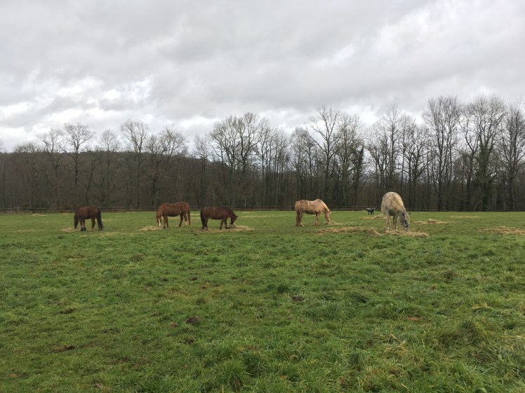 276DD243-04F1-44D8-8B91-90C5AA3353DE