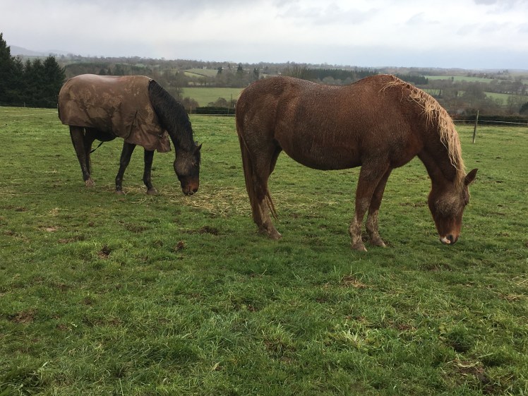 28CE194D-11FF-429A-BFF0-DC50314C0AE4