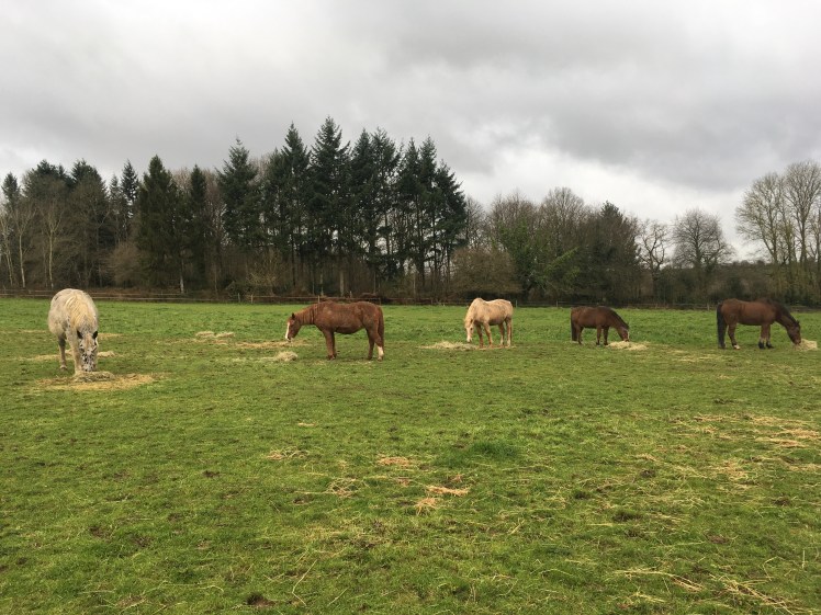 2EFD8E24-B478-4CF6-8BAD-94963A31138C