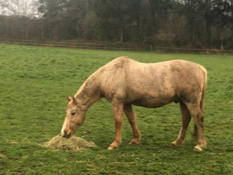 2F6C4A99-97EF-44CA-90F0-32598EA7BB36