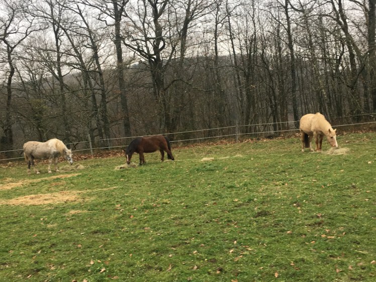 2FB2B62D-DDA1-4BB5-A584-D535A4CCCDDD