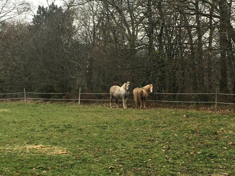 33279E21-B656-4DAC-9996-DA17D914F67F