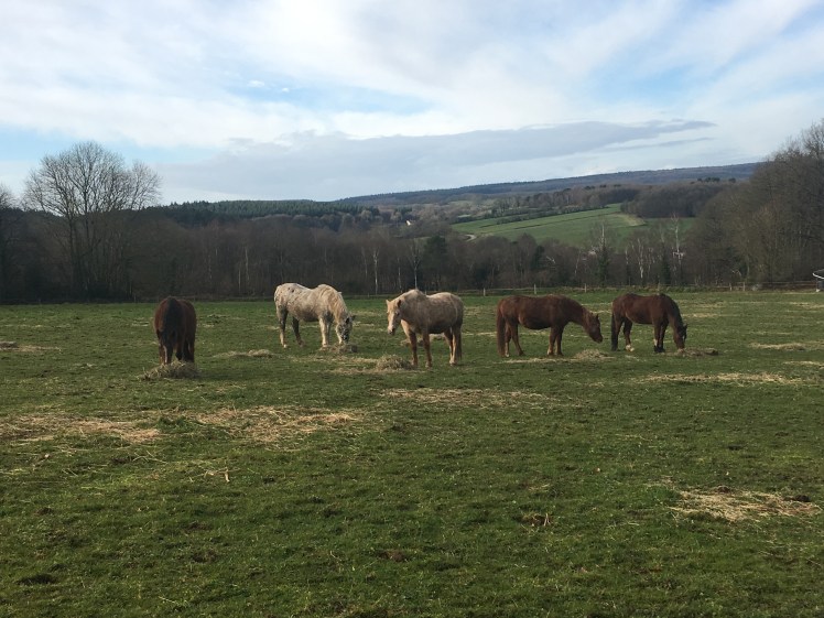 35944A65-CD72-4249-9A03-C2AD5CF42F52