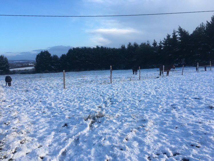 44F68A99-D732-48B8-81B1-2CFA4F140C45