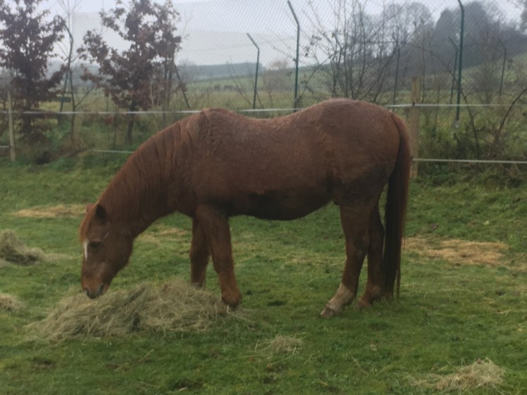 469AE2DC-530F-4DD2-ABC0-ACCDA978D716