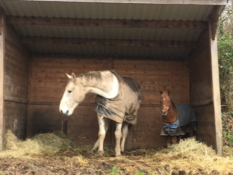 4A203A59-5171-47A1-8127-5DDB070EDE4E