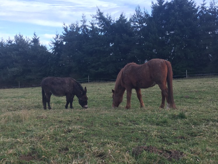 4A40CF2B-DB34-4BAE-8274-48F580B1ED75