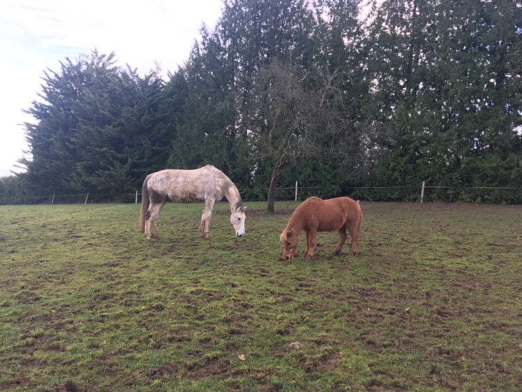 50E313C4-86D5-4957-ABF2-EE797A2033F4